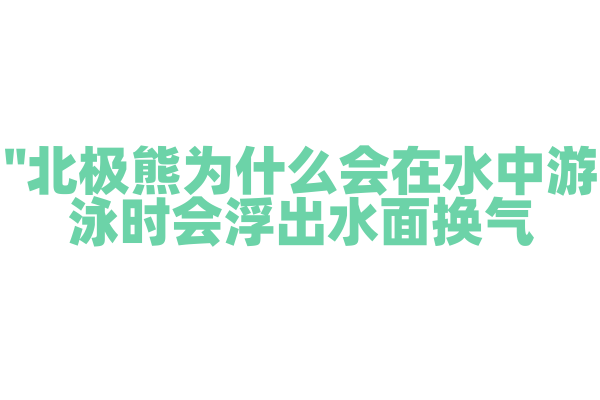"北极熊为什么会在水中游泳时会浮出水面换气？"